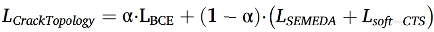 Crack Topology Loss